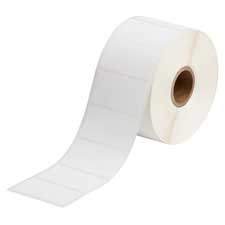 Brady 1" Small Core Polyester Cryogenic Laboratory Labels| Buy online