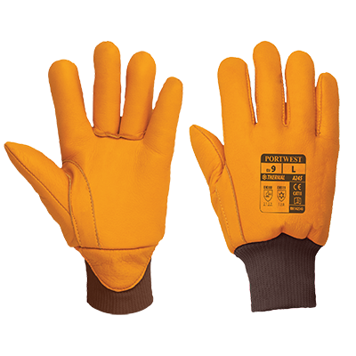 A245 Antarctica Thinsulate™ Glove