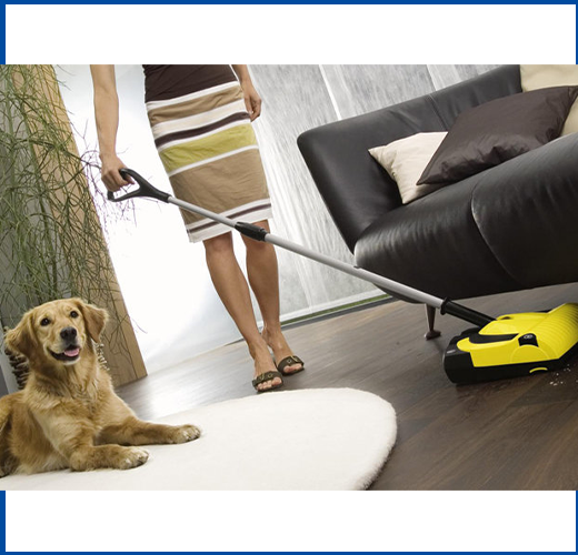 TIPS FOR A CLEAN HOME WITH PETS