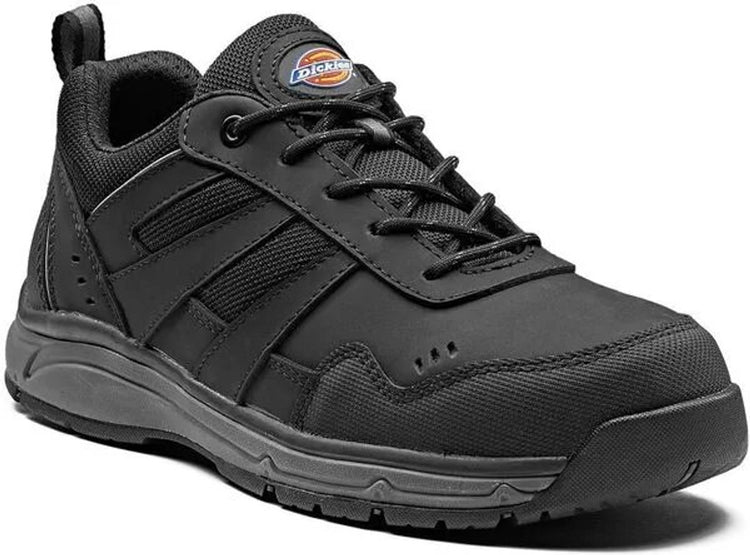 Dickies safety online