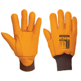 A245 Antarctica Thinsulate™ Glove